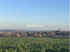 terrain à la vente -   67270  SAESSOLSHEIM, surface 750 m2 vente terrain - UBI444866216